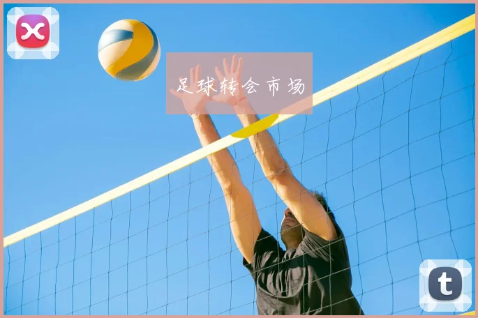 足球转会市场