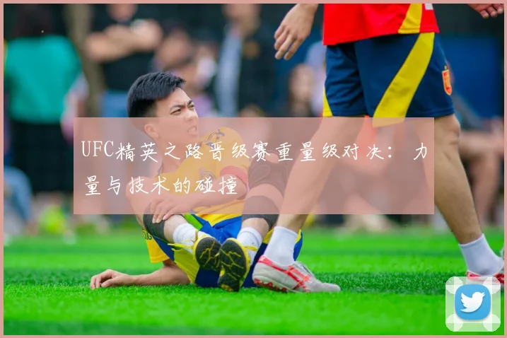 UFC精英之路晋级赛重量级对决:力量与技术的碰撞