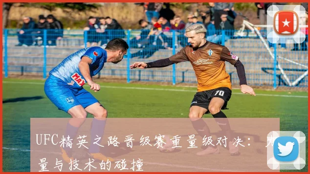 UFC精英之路晋级赛重量级对决:力量与技术的碰撞