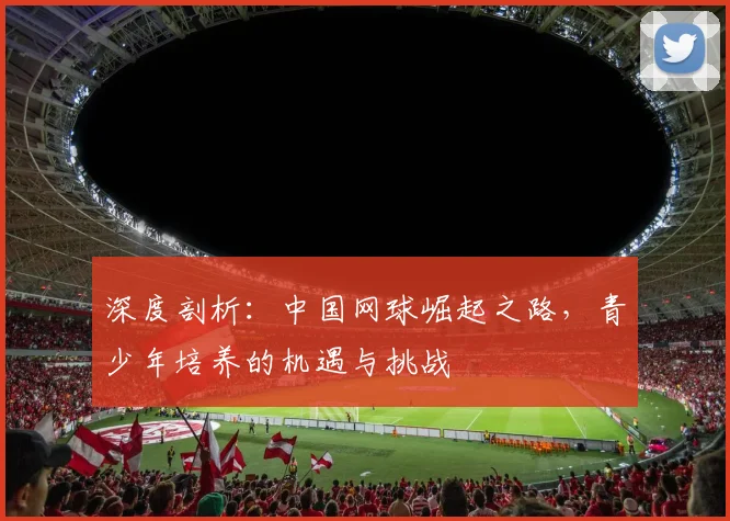 深度剖析：中国网球崛起之路，青少年培养的机遇与挑战