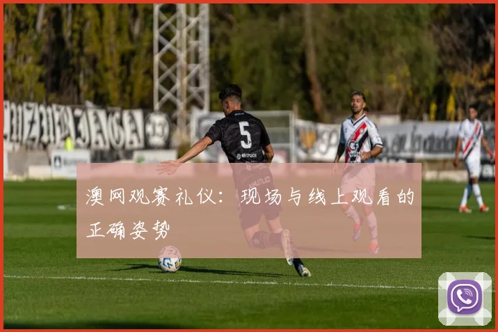 澳网观赛礼仪：现场与线上观看的正确姿势